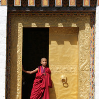 Introduction of India, Bhutan & Nepal 44 Windhorse Tours punakha dzong1 Windhorse Tours