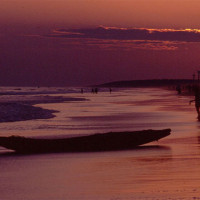 puribeach Windhorse Tours