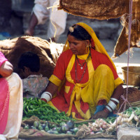 rajasthan woman selling veg Windhorse Tours