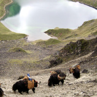 sagala lunana Windhorse Tours