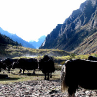 tarina Windhorse Tours
