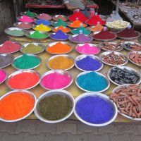 Introduction of India, Bhutan & Nepal 55 Windhorse Tours Colors Holi Windhorse Tours