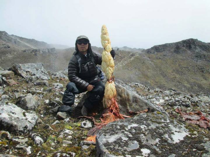 Pema Namgyal (Guide) whilst on Snowman Trek, Oct, 2014 Courtesy Kirill & Olga