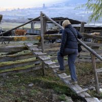 Phobjika Windhorse Tours