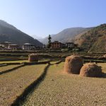 Bhutan East West Traverse photo 6