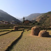 Bhutan Traverse from West to East - Tour