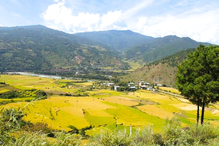 Trekking in Bhutan 3 Windhorse Tours Winter Trek (Samtegang Trek) - Sanghana village