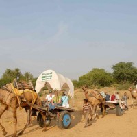 camel safari for sand dunes Windhorse Tours