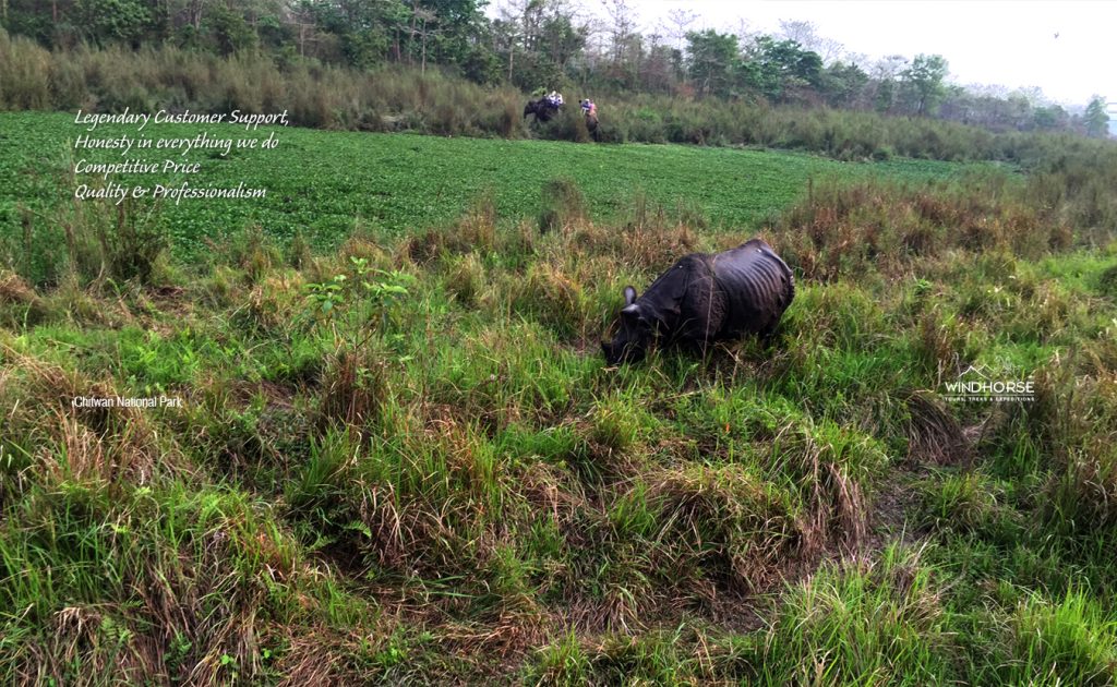 Wildlife Tour in Nepal