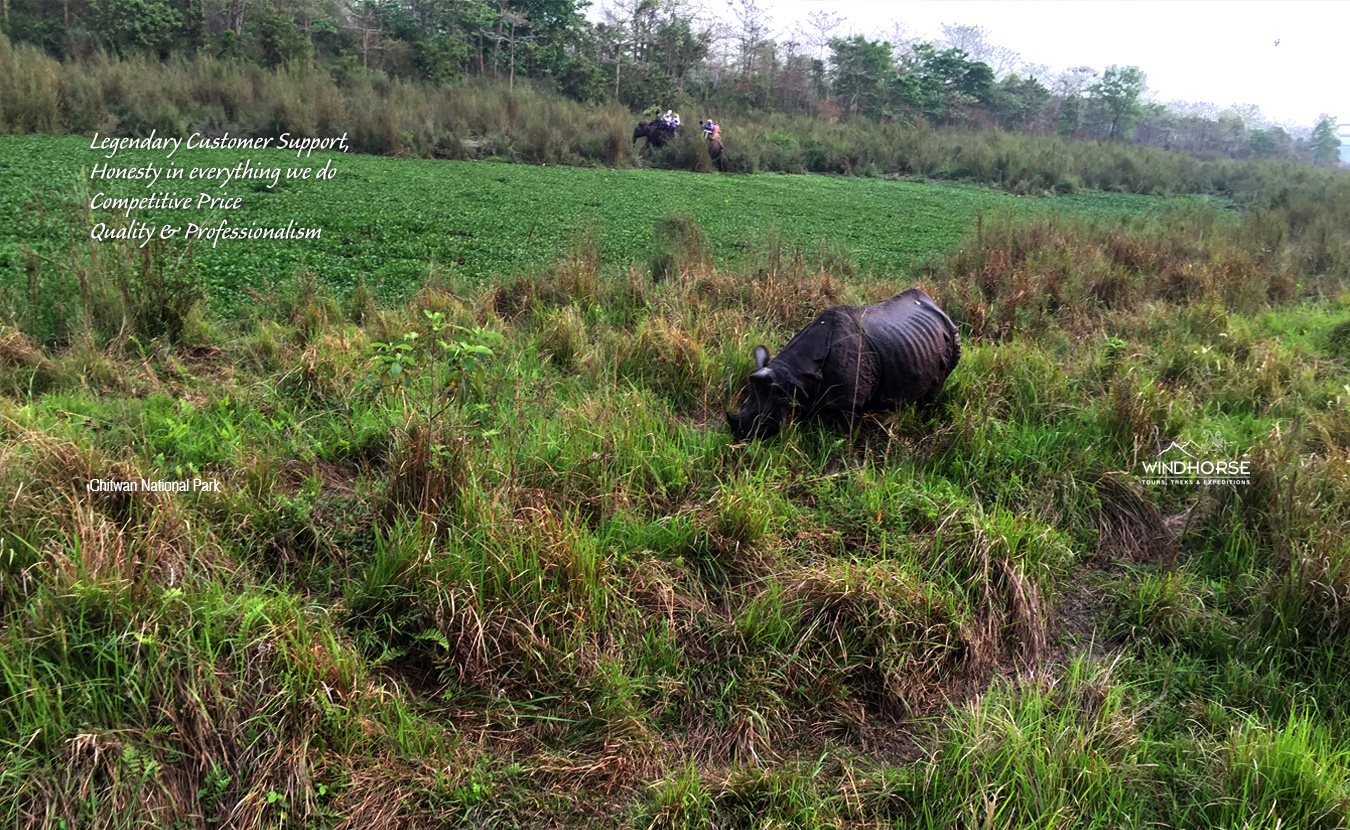 Chitwan Jungle Safari – 3 Days