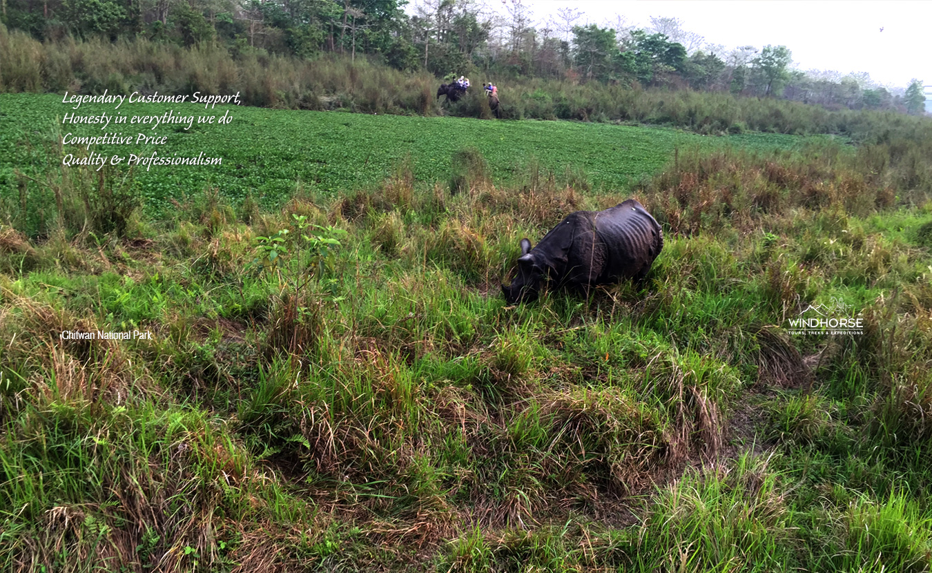 Chitwan Jungle Safari – 3 Days