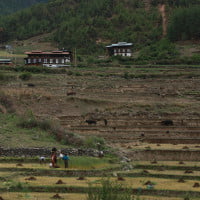 farming Windhorse Tours