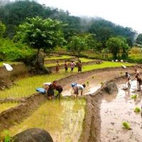 monsoon season Windhorse Tours