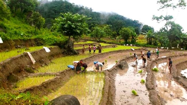 Climate Of Bhutan 3 Windhorse Tours monsoon season Windhorse Tours