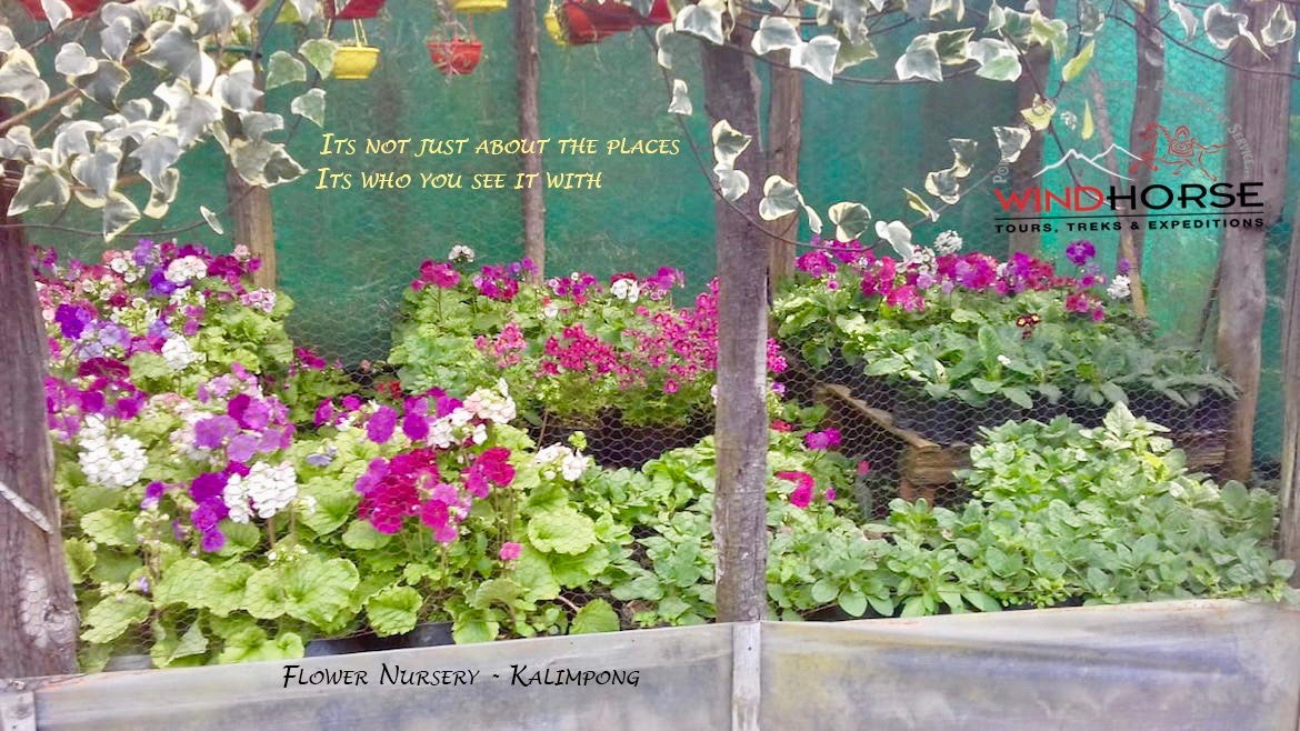 Dooars, Kalimpong & Darjeeling Dooars, Kalimpong & Darjeeling