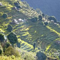 village annapurna Windhorse Tours