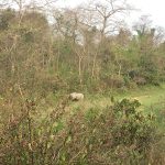 4 1 1 Windhorse Tours