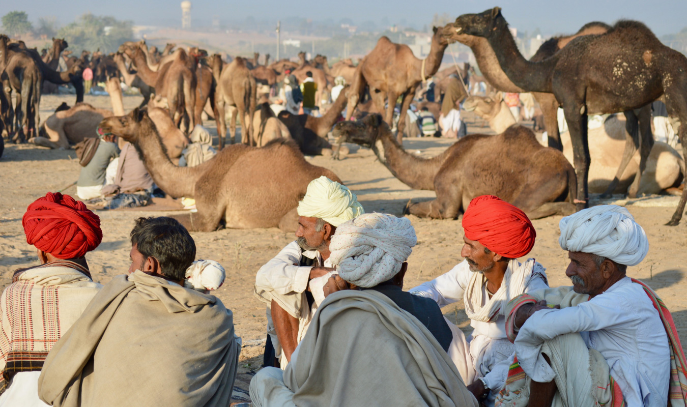 Pushkar Camel Fair with Golden Triangle India