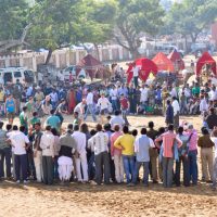 Local Pushkar Festival