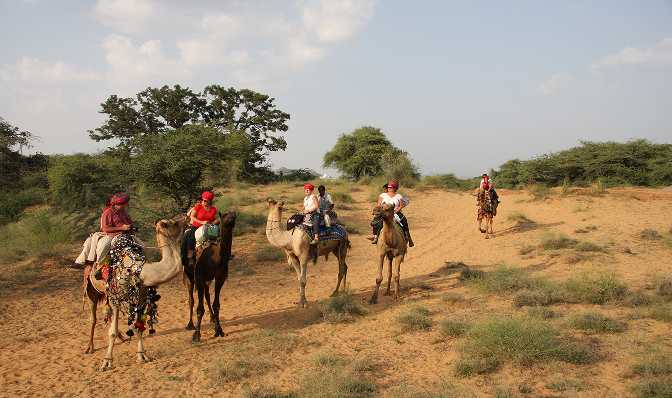 Rajasthan Tour with Taj Mahal Rajasthan Tour with Taj Mahal