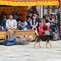 Customised Bhutan Tour (West to East)