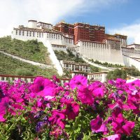 Potala Palace Windhorse Tours