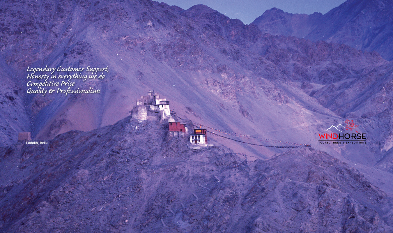 Discover Ladakh Festival Tour