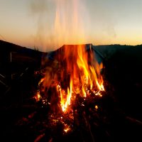 Bumthang Owl Trek