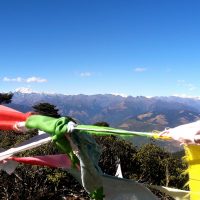 Bumthang Owl Trek