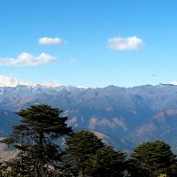 Bumthang Owl Trek