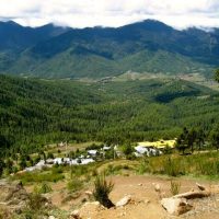 Bumthang Owl Trek