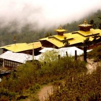 Bumthang Owl Trek