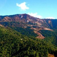 Bumthang Owl Trek