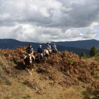 Best of Bhutan on Multi-Activity Adventure