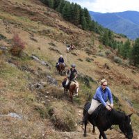 Best of Bhutan on Multi-Activity Adventure