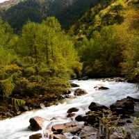 Chomolhari -Lingshi Barshong Thimphu trek