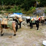 Snowman Trek Bhutan – Full Circuit photo 1