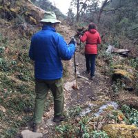 Rhododendron & Walking Tour