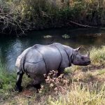 Nature, Birds & Wildlife of Bhutan photo 3