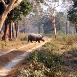 Nature, Birds & Wildlife of Bhutan photo 4
