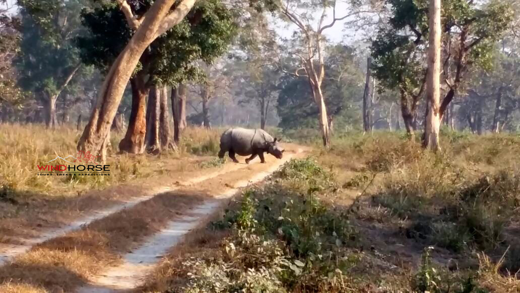Assam’s Wildlife, Wilderness & National Parks Assam’s Wildlife, Wilderness & National Parks