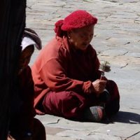 Bhutan Perspective