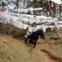 Bhutan Perspective