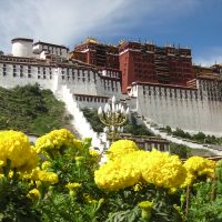 Tibet Everest base camp Tour