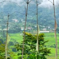 Village walking tour of Sikkim