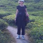 Janet's Trip to Upper Assam, Megalaya & Sikkim 7 Windhorse Tours Tea Garden hike Windhorse Tours