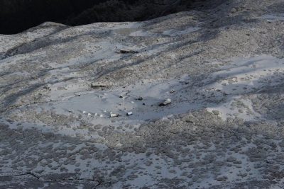 Dzongri & Goechala Trek -Sikkim