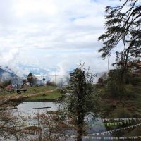 Dzongri & Goechala Trek -Sikkim