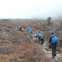 Dzongri & Goechala Trek -Sikkim