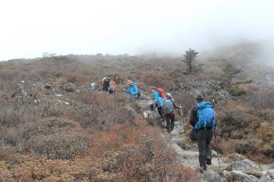 Dzongri & Goechala Trek -Sikkim